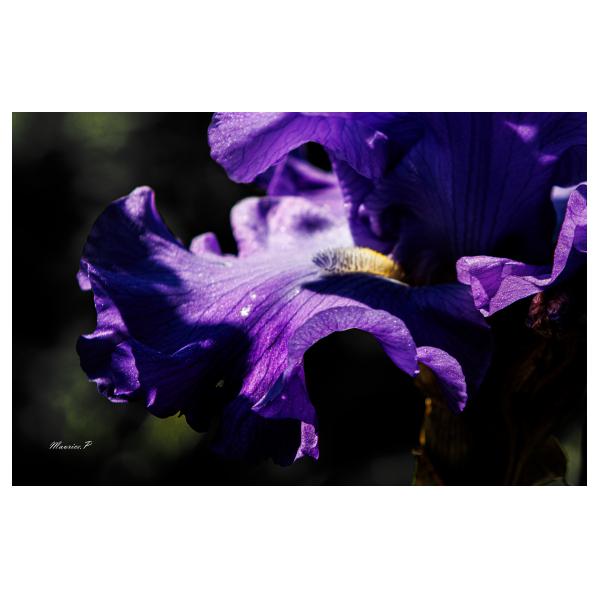 PHOTO84, CLUB, 84 , LUBERON